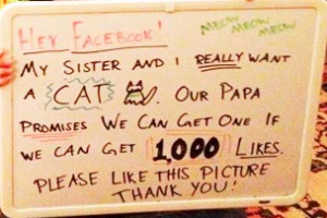 facebook-viral